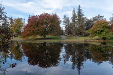 Fall Colors At The Middle Of The UC Davis Arboretum Over The Spafford Lake Featuring Trees Reflected On Spafford Lake