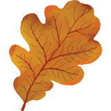 Fototapeta Big Ben - Autumn Leaves Clip art Element Transparent Background