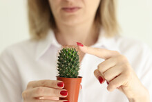 Finger Kaktus Pflanze Kostenloses Stock Bild - Public Domain Pictures