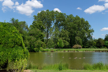 Daumesnil lake n the Vincennes wood.