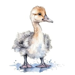 Baby Goose watercolor with ink outline on white background, high detailed (generative AI)