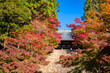秋の京都・神護寺で見た、金堂に続く階段を彩る紅葉