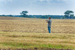 © viktoriia1974 - The agronomist supervises and coordinates the harvesting of crops. Use of new technologies and gadgets in production.