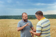 © viktoriia1974 - Checking grain maturity before harvesting. Agronomic science and agriculture