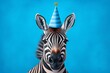 zebra close up with birthday hat