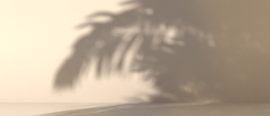 Wall Mural - blurred shadow of palm leaves on a wall. abstract minimal background for a product presentation. sum
