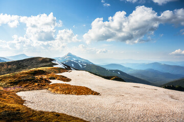 Wall Mural - Summer mountains with blue sky. View of the grassy hills with orange tussocks and snowy mountains on background. Dramatic spring scene. Landscape photography