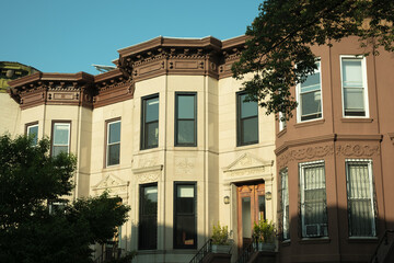 Canvas Print - Houses in Crown Heights, Brooklyn, New York