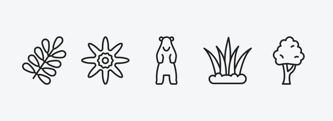 Poster - nature outline icons set. nature icons such as branches with leaves, petals, polar, grass leaves, black birch tree vector. can be used web and mobile.