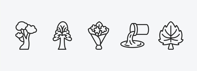Poster - nature outline icons set. nature icons such as american beech tree, the oaks tree, flower bouquet, w