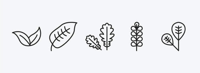 Poster - nature outline icons set. nature icons such as apricot leaf leaf, ovate, pedunculate, pecan leaf, obovate vector. can be used web and mobile.