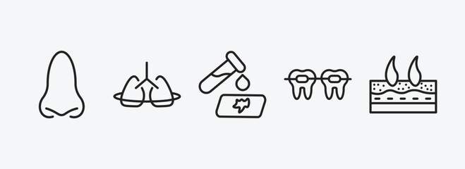 Poster - medical outline icons set. medical icons such as e, breath control, blood analysis, braces, dermis vector. can be used web and mobile.
