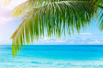 Wall Mural - Sunny tropical Caribbean beach with palm trees and turquoise water, Caribbean island vacation, hot summer day