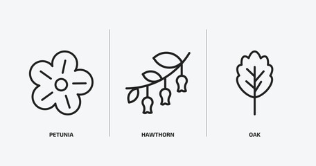 Poster - nature outline icons set. nature icons such as petunia, hawthorn, oak vector. can be used web and mobile.