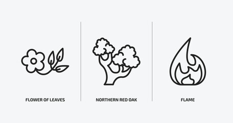 Poster - nature outline icons set. nature icons such as flower of leaves, northern red oak tree, flame vector. can be used web and mobile.