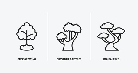 Poster - nature outline icons set. nature icons such as tree growing, chestnut oak tree, bonsai tree vector. can be used web and mobile.