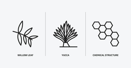 Poster - nature outline icons set. nature icons such as willow leaf, yucca, chemical structure vector. can be used web and mobile.