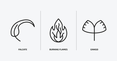 Poster - nature outline icons set. nature icons such as falcate, burning flames, ginkgo vector. can be used web and mobile.