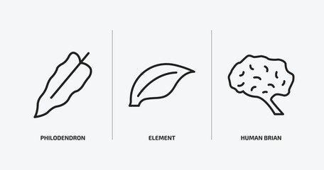 Poster - nature outline icons set. nature icons such as philodendron, element, human brian vector. can be used web and mobile.