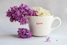 Front View Of Bouquet Of Lilac Flowers In The White Cup