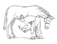 Comics Style Drawing Or Illustration Of A Female Farrier Placing Horseshoe On The Horse Hoof Viewed From The Side On Isolated Background In Black And White Retro Style.