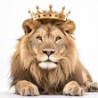 a lion with a crown