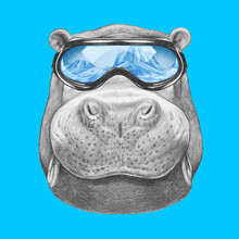 Portrait Of Hippo With Ski Goggles. Hand Drawn Illustration.