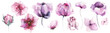 Leinwandbild Motiv Watercolor floral set of violet, pink poppy, rose, peony, lotus, wild flowers, butterfly. Cut out hand drawn PNG illustration on transparent background. Watercolour clipart drawing.