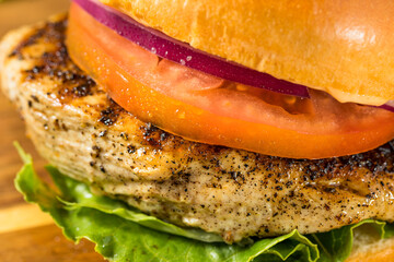 Wall Mural - Homemade Healthy Grilled Chicken Breast Sandwich