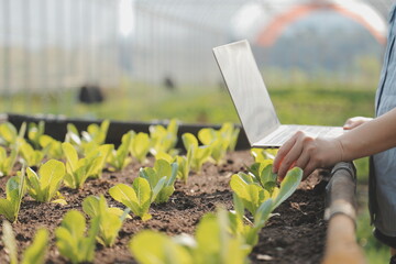 Asian woman farmer using digital tablet in vegetable garden at greenhouse, Business agriculture technology concept, quality smart farmer.