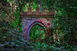 Tor im Wald -  - Verlassener Ort - Urbex / Urbexing - Lost Place - Artwork - Creepy - High quality photo	