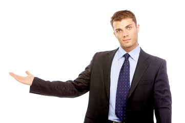 Portrait of business man isolated on white background