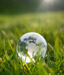 glass earth globe in grass