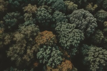 Poster - dense forest seen from an aerial perspective Generative AI