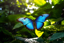 Beautiful Blue Morpho Butterfly In Flight Made With Generative Ai
