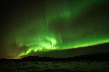 a kaleidoscope of aurora: vibrant night sky over snowy whitehorse