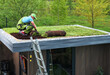© Tomasz Zajda - Professional Gardener Building Sedum Green Roof on Top of a Shed