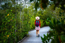 Beautiful Girl Wearing Skirt And Hat Walking On The Boardwalk Among Mangroves In Sunshine Coast Region, Queensland, Australia; Maroochy Wetland Sanctuary
