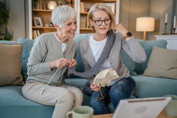 Wall Mural - two women senior mature knitting and embroidery during leisure time