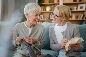 Wall Mural - two women senior mature knitting and embroidery during leisure time