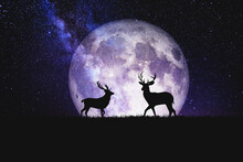 Night Deer Silhouette Against The Backdrop Of A Large Moon_element Of The Picture Is Decorated By NASA