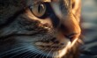 Captivating close-up of a cat's eye with water reflection Creating using generative AI tools