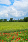 Po Valley landscape field cultivation nature natural agriculture farmhouse tree earth