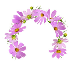 Wall Mural - pink cosmos flowers in a floral arch arrangement with oval card isolated on white or transparent bac