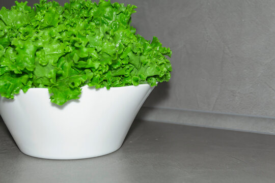 Curly, green, fragrant lettuce leaves for proper nutrition and h