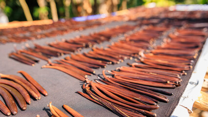  vanilla pods to dry in the sun on the shelf. angle view