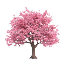 Pink Tree Isolated On White