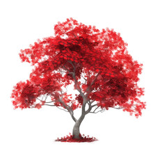 Red Tree Isolated On White