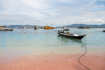 Wall Mural - views of pink beach on komodo national park, indonesia