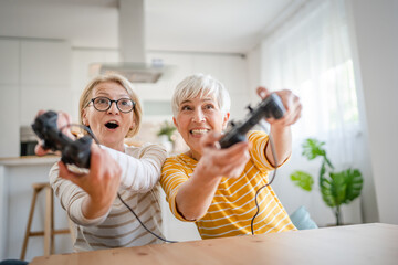 Two senior women caucasian friends or sisters play console video game